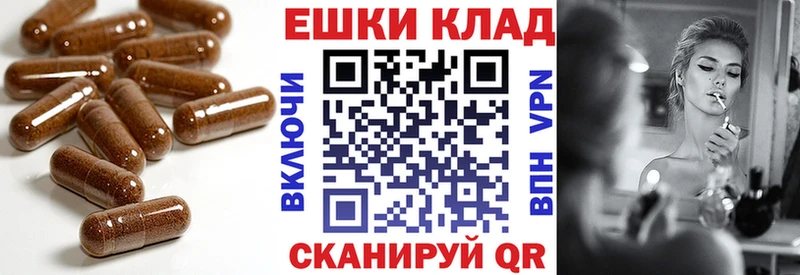 купить наркотики сайты  Сретенск  Ecstasy бентли 